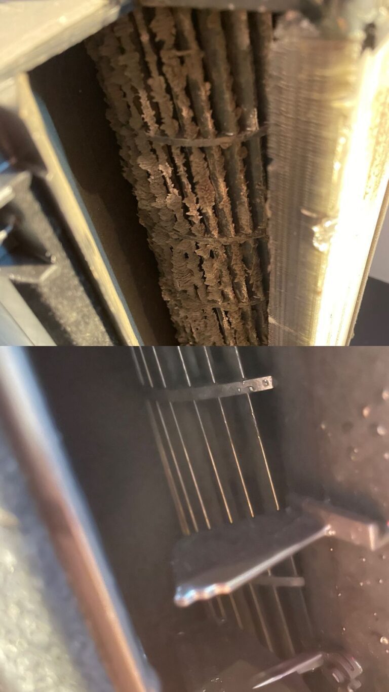 WhatsApp Image 2025-09-21 at 19.56.41 (3)