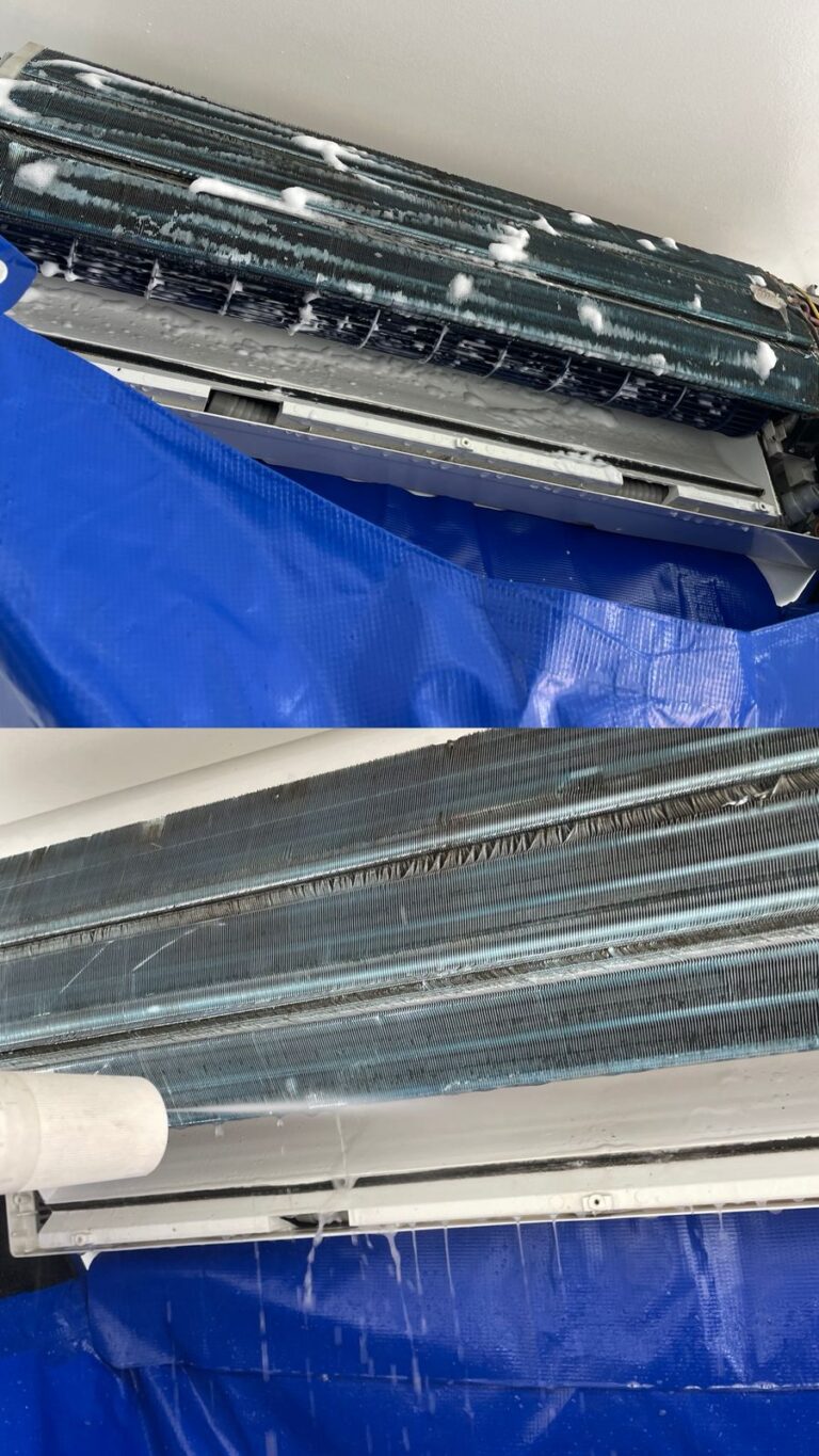 WhatsApp Image 2025-09-21 at 19.56.41 (4)