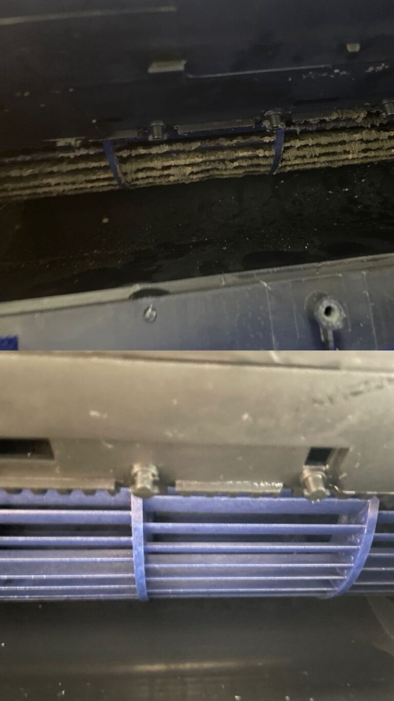 WhatsApp Image 2025-09-21 at 19.56.42 (1)